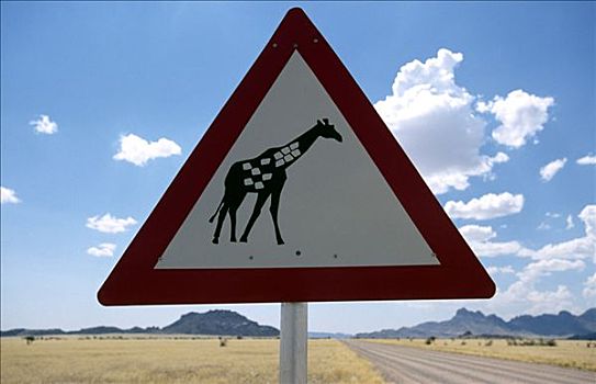 长颈鹿,标识,纳米比诺克陆夫国家公园,纳米比亚,非洲