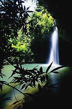 夏威夷,毛伊岛,双子瀑布,框架,植物
