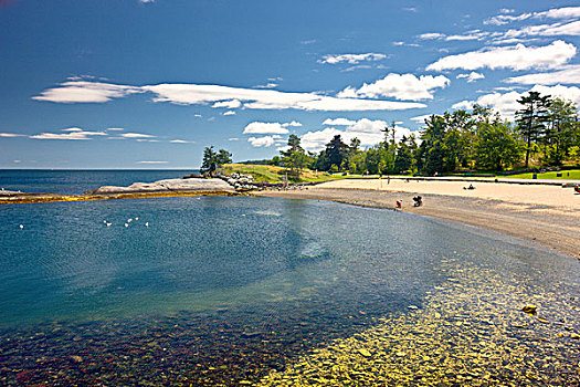 海滩,高兴,公园,哈利法克斯,新斯科舍省,加拿大