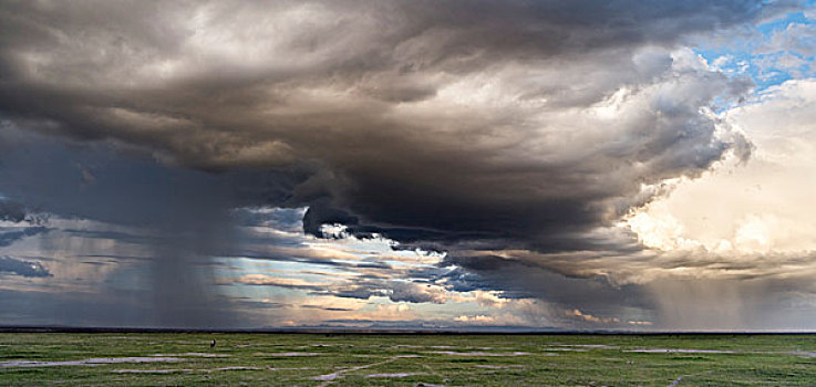 风暴,上方,斜坡,乞力马扎罗山,安伯塞利国家公园,肯尼亚,非洲,大幅,尺寸