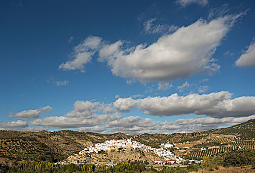 白色,城镇,围绕,橄榄,小树林,卡迪兹,安达卢西亚,西班牙,欧洲