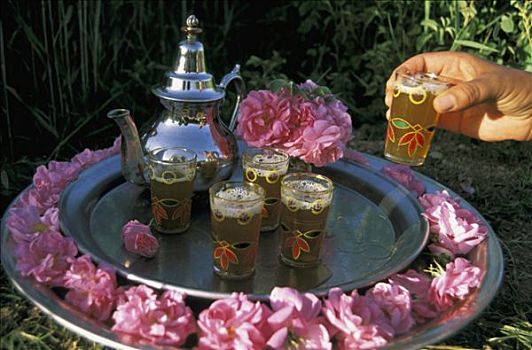 摩洛哥,达德斯谷,玫瑰,节日,茶