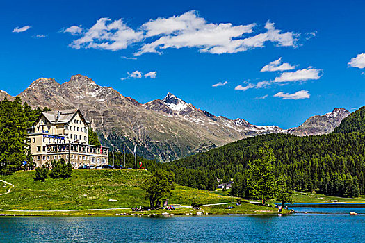 酒店,看,海岸线,湖,圣莫里茨,胜地,城镇,晴天,瑞士