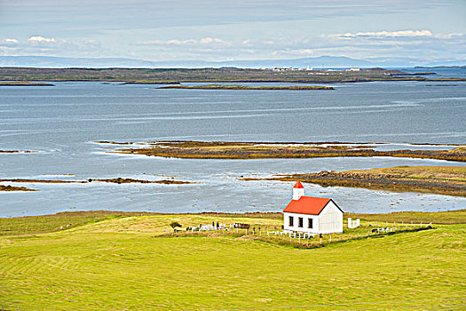 教堂,海边风景,峡湾,西部,冰岛