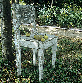 老,涂绘,椅子,靠近,树,苹果,座椅