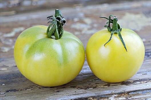 两个,西红柿,品种