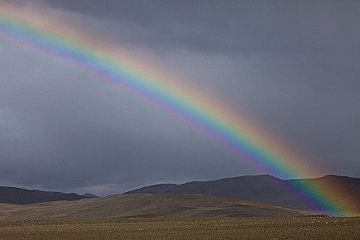 彩虹,高地,道路,冰岛南部,欧洲