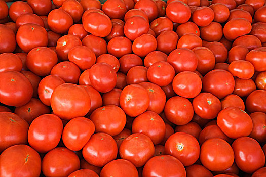 堆,新鲜,西红柿,魁北克,加拿大