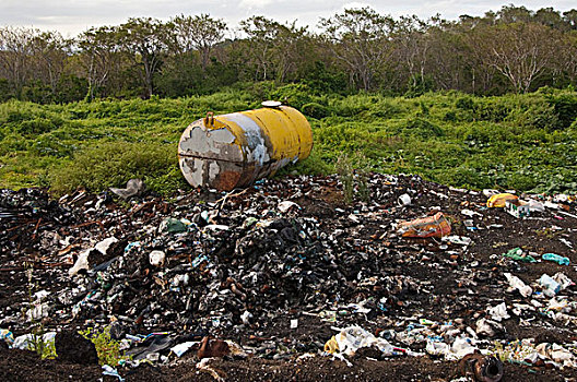 垃圾掩埋场,高地,圣克鲁斯岛,加拉帕戈斯群岛,厄瓜多尔