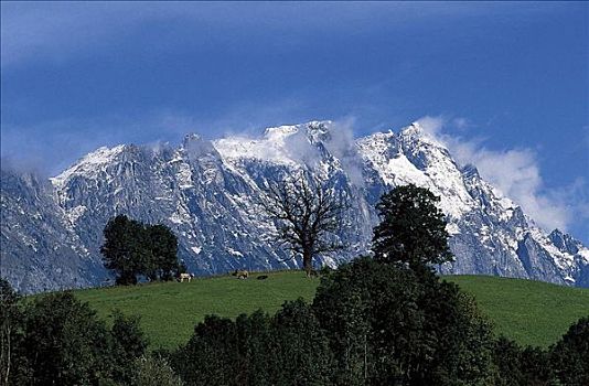 山脉,顶峰,高山牧场,草地,奥地利,欧洲