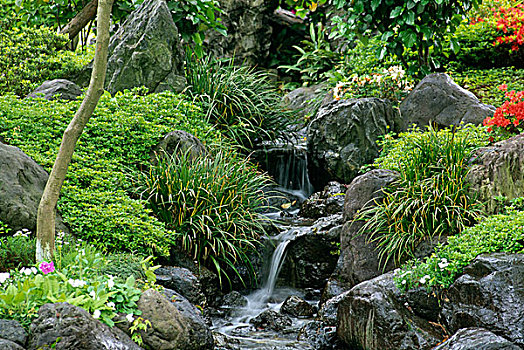 岩石,瀑布,花园