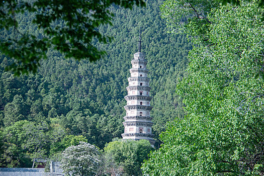 灵岩寺,济南,济南灵岩寺,佛教,佛教胜地