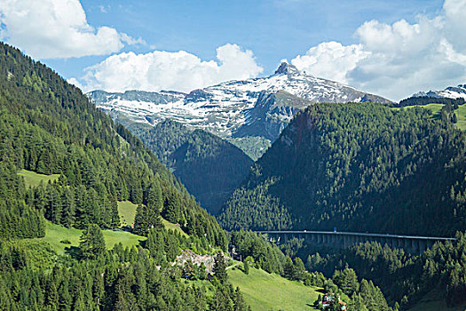 阿尔卑斯山高山牧场