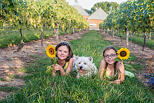 两个女孩,躺着,草,宠物,狗,拿着,向日葵