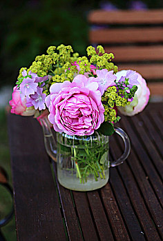 花,玫瑰,品种,公主,锦葵属植物,斗篷草,小,玻璃茶壶