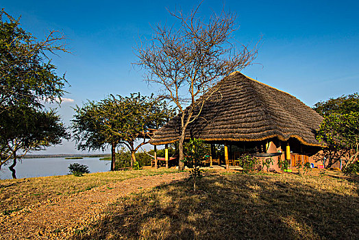 餐馆,豪华酒店,远眺,尼罗河,国家公园,乌干达,非洲