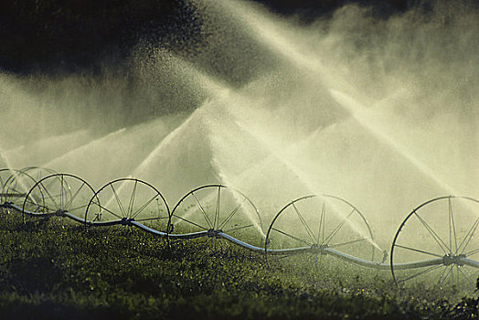 灌溉,洒水器,飞溅,地点,半岛,维多利亚,不列颠哥伦比亚省,加拿大