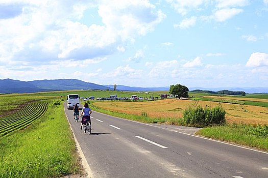 拼合,山