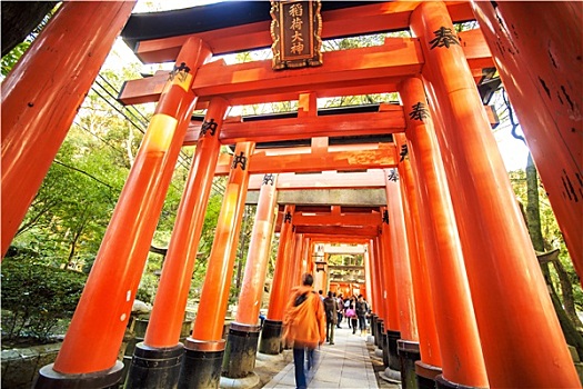 伏见稻荷大社,神祠,京都,日本