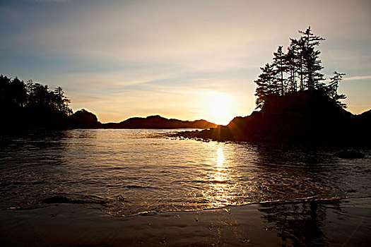 海滩,指点,日落,靠近,温哥华岛,不列颠哥伦比亚省,加拿大