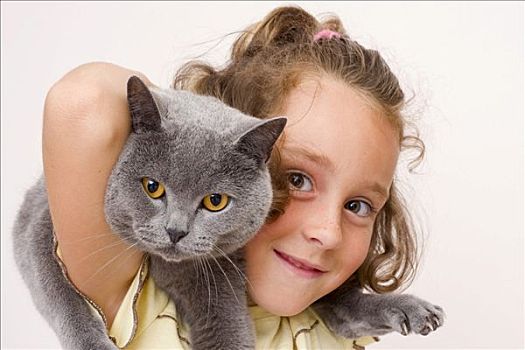 女孩,6岁,蓝色,英国短毛猫,猫科动物