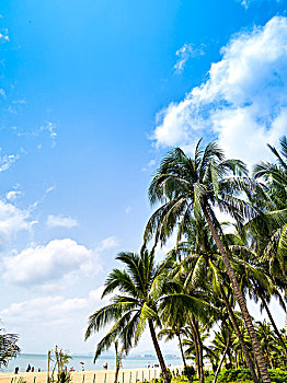 三亚湾海岸线天空椰子树