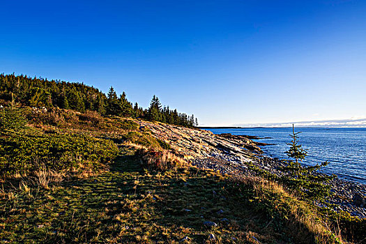 海边风景,半岛,阿卡迪亚国家公园