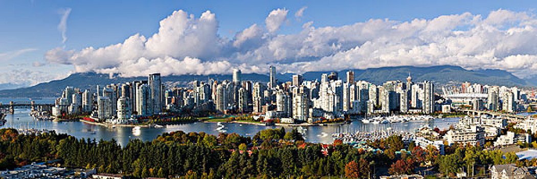 桥,城市天际线,新,伸缩,屋顶,福尔斯湾,温哥华,不列颠哥伦比亚省,加拿大