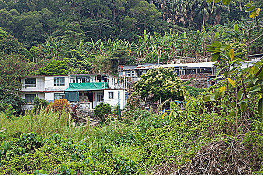 住宅,南丫岛,香港