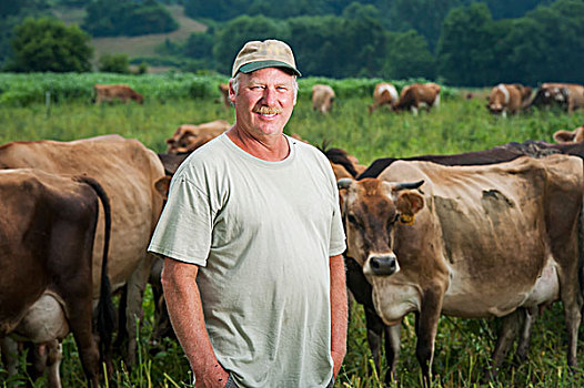 农民,乳业,母牛,长,绿色,马里兰,美国