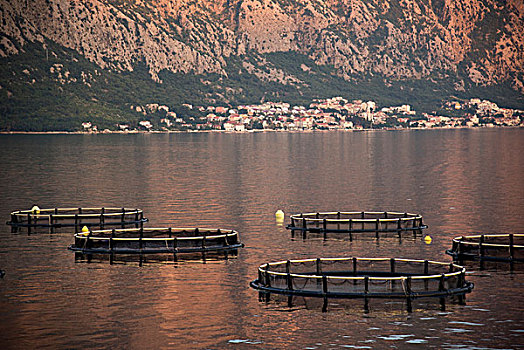 圆形,笼子,渔网,水上,黑山,欧洲