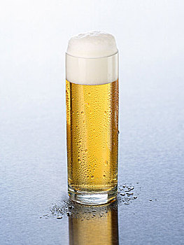啤酒,头部,泡沫,玻璃杯