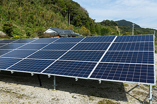 太阳能电池板,植物