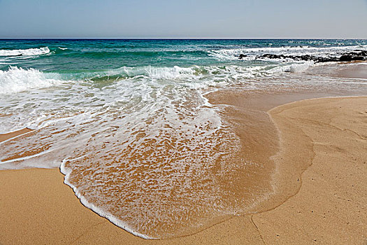 波浪,海滩,富埃特文图拉岛,加纳利群岛,西班牙,欧洲