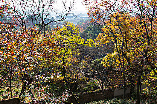 苏州天平山