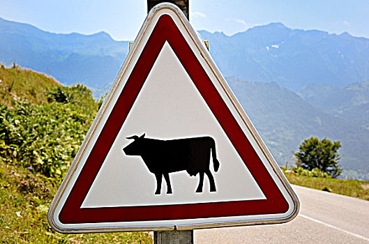 法国,母牛,标识