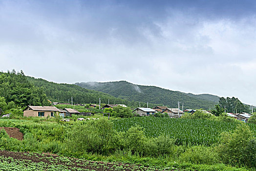 黑龙江省伊春市原生态自然风光