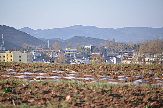 贵州风光,田园,村庄,风景,花草