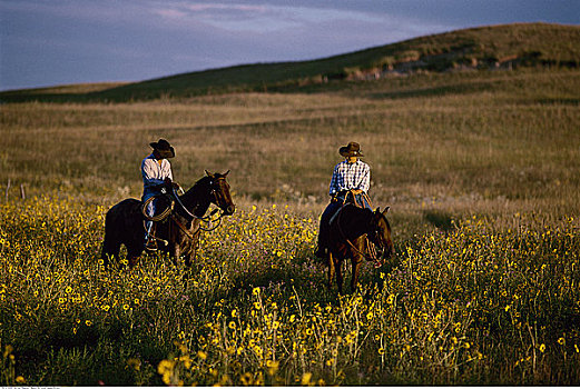 两个人,骑马,地点,内布拉斯加州,沙子,山,美国