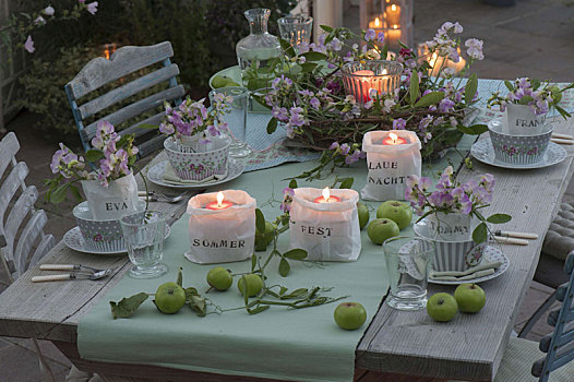 浪漫,桌饰,多年生植物,豌豆