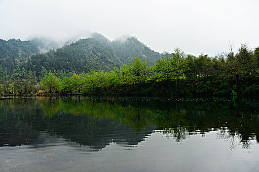 小河田园人家