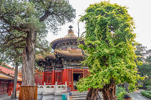 北京故宫,故宫博物院,紫禁城