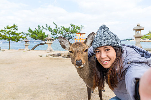 女人,照相,鹿,宫岛,日本