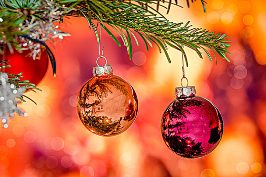光泽,圣诞节饰物,悬挂,枝条,松树