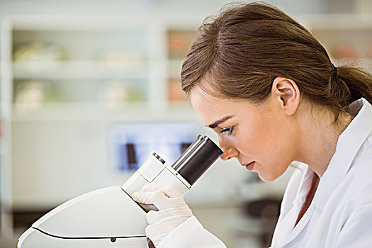 年轻,科学家,工作,显微镜