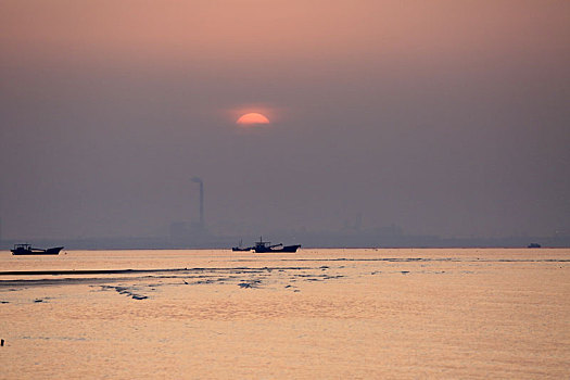 山东省日照市,沐浴在金色阳光里的海鸟和渔船,构成迷人的生态画卷