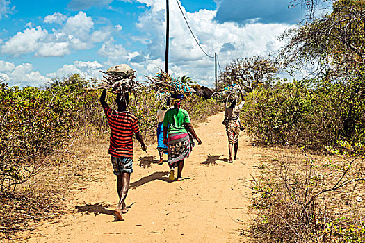 本地人,木头,艾博岛,国家公园,德尔加杜角省,莫桑比克