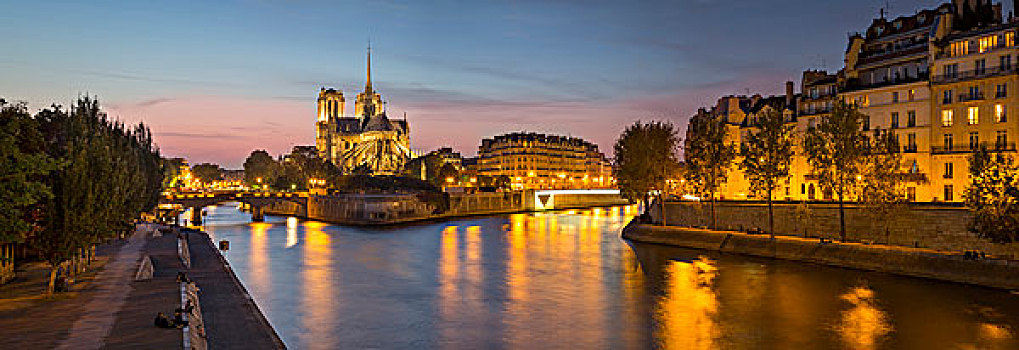 大教堂,银行,塞纳河,巴黎,法国,大幅,尺寸