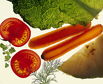 蔬菜,不同,药草,食物,生食,西红柿,光盘,胡萝卜,智慧,卷心菜,时萝,西芹,概念,健康,素食主义,多样,营养