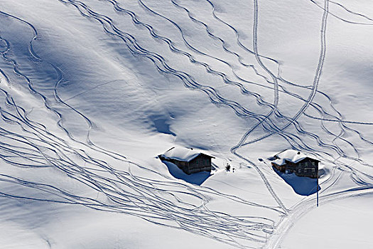 滑雪轨迹,大雪,山地牧场,布雷根茨,树林,奥地利,欧洲